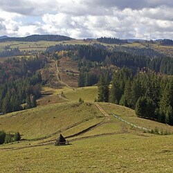 Пазл: Дорогой длинною...