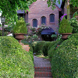 Пазл:  Дорожка в зеленый дворик