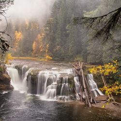 Пазл: Лесной водопад