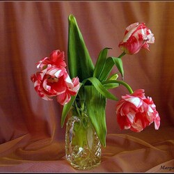 Пазл: Тюльпаны