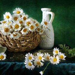 Пазл: Привет, ромашки