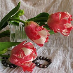 Пазл: Нежные тюльпаны