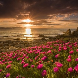 Пазл: Закат у моря