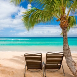 Пазл: Отпуск на двоих