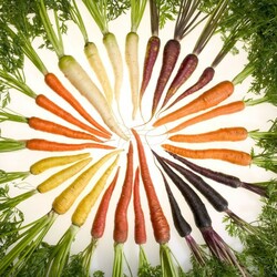 Пазл: Корешки