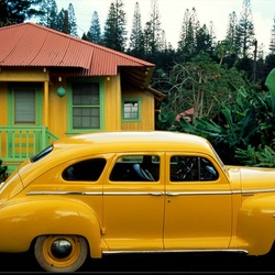 Пазл: Жизнь в цвете: желтый