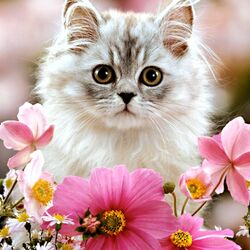 Пазл: Кисуля в цветах