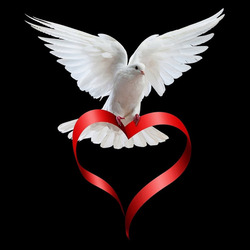 Пазл: Голубь любви