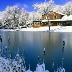 Пазл: Домик у озера