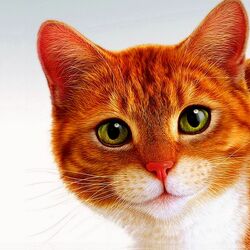 Пазл: Кошка