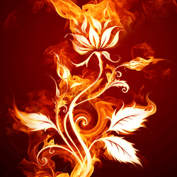 Пазл: Огненный цветок