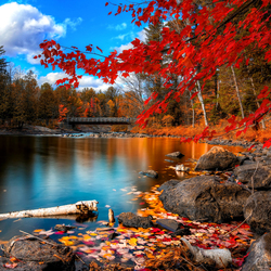 Пазл: Осень