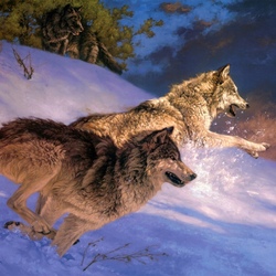 Пазл: Волчья охота