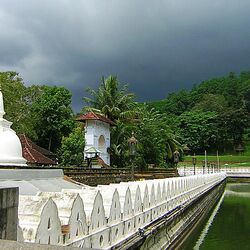 Пазл: Природа Шри-Ланки