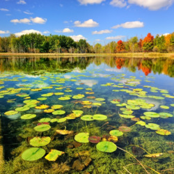 Пазл: Осеннее озеро