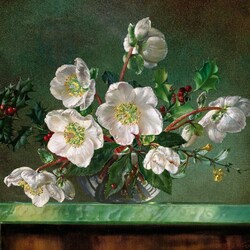 Пазл: Рождественская роза