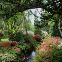 Пазл: Уголок сада Боднант (Bodnant Gardens)