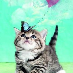 Пазл: Малыш