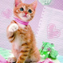 Пазл: Рыжик