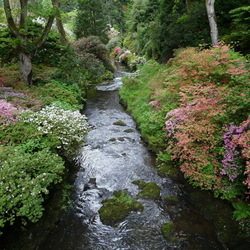 Пазл: Уголок сада Боднант (Bodnant Gardens)