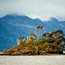 Пазл: До небес