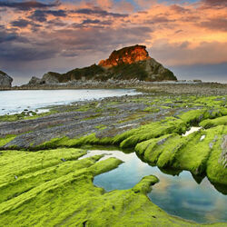 Пазл: Зеленые острова