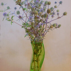 Пазл:  Скромное изящество