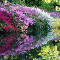 Пазл: Долина реки Клена 