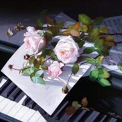Пазл: Розы и музыка