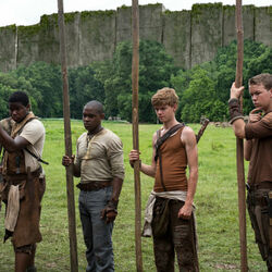 Пазл: Бегущий в лабиринте