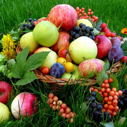 Пазл: Фруктово-ягодное ассорти