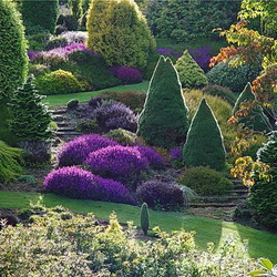 Пазл: Долина реки Клена