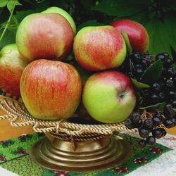 Пазл: Яблочный Спас