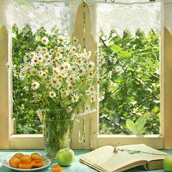 Пазл: Лето на даче