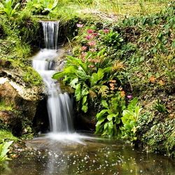 Пазл: Долина реки Клена