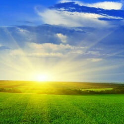 Пазл: Луч солнца золотого