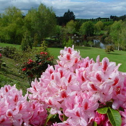 Пазл: Долина реки Клена