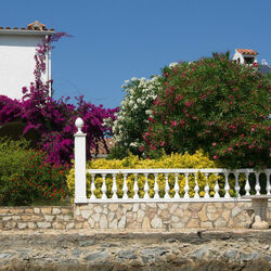 Пазл: Цветы у дома