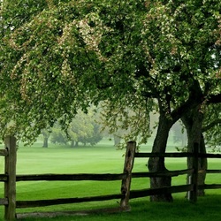 Пазл: Могущество