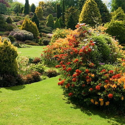 Пазл: Долина реки Клена