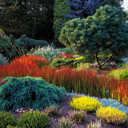 Пазл:  Сады Брессингхем 