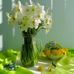 Пазл: Нарциссы