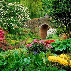 Пазл: Сады Брессингхем (The Bressingham Gardens)