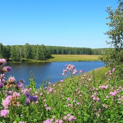 Пазл: Полевые цветы у реки