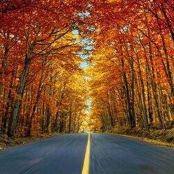 Пазл: Дорога сквозь осень