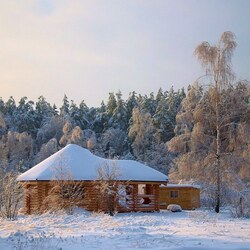 Пазл: Избушка в лесу