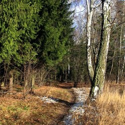 Пазл: Первый снег