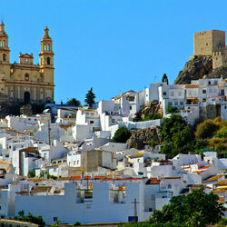 Пазл: Олвера