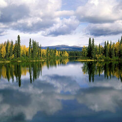 Пазл: Пейзаж