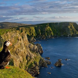 Пазл: Красота